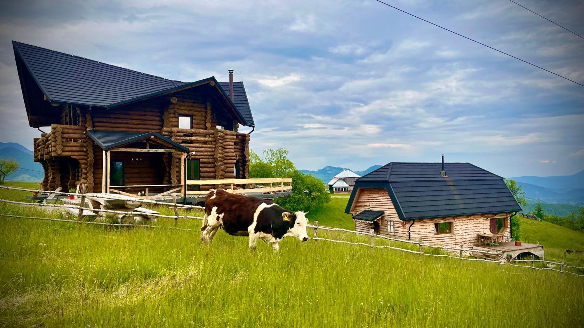 The Barn Villa ชีร์นา ภายนอก รูปภาพ